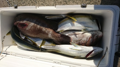 海龍丸（福岡） 釣果