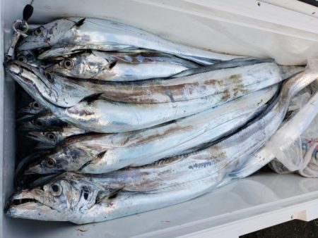 オーフリー 釣果