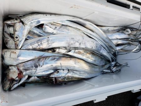 オーフリー 釣果