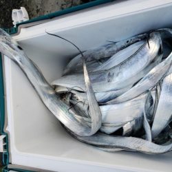 オーフリー 釣果