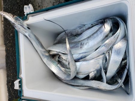 オーフリー 釣果