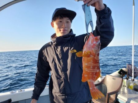 ブルーピア 釣果