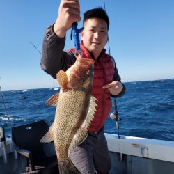 ブルーピア 釣果