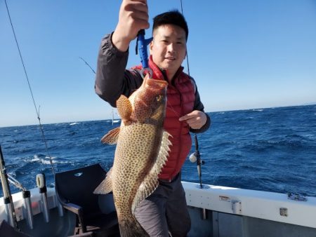 ブルーピア 釣果