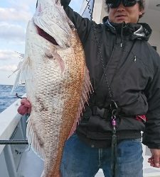 海龍丸（福岡） 釣果