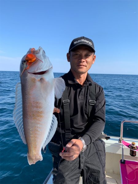 マタウマリンサービス 釣果