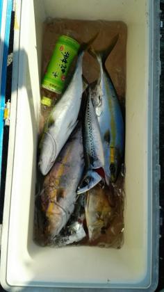 長栄丸(静岡) 釣果