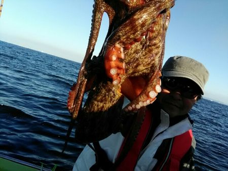 横内丸 釣果