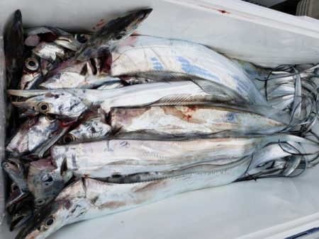 オーフリー 釣果