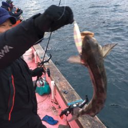 第八平成丸 釣果