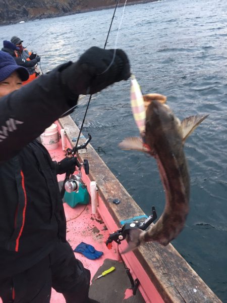 第八平成丸 釣果