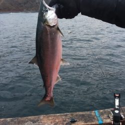 第八平成丸 釣果