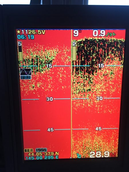 第八平成丸 釣果