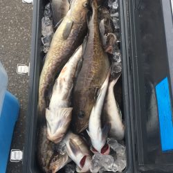 第八平成丸 釣果