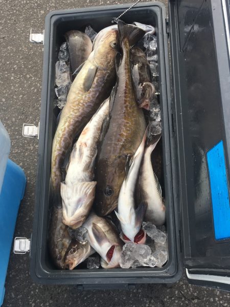 第八平成丸 釣果