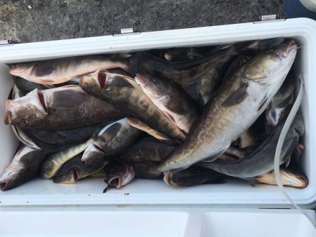 第八平成丸 釣果