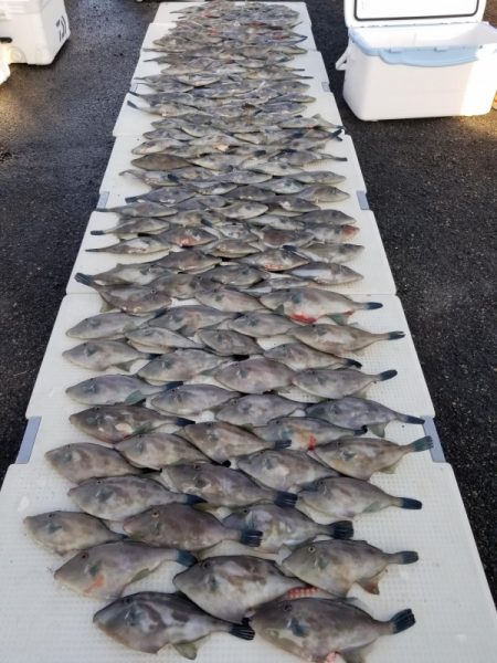 オーフリー 釣果