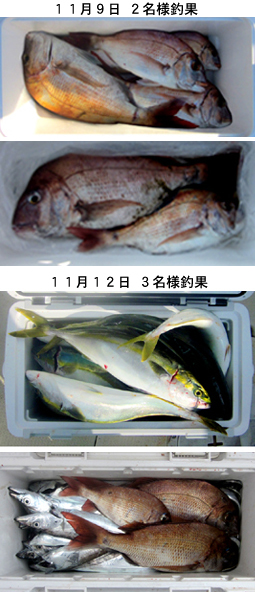 来温丸（らいおんまる） 釣果