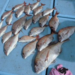 十八宝洋丸 釣果