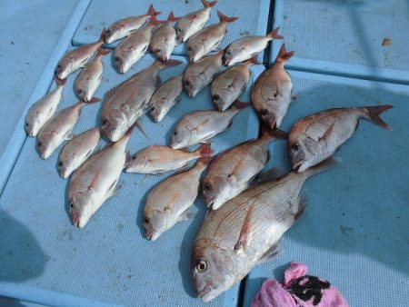 十八宝洋丸 釣果