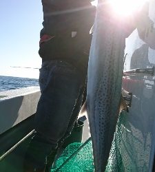 海龍丸（福岡） 釣果
