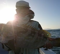 海龍丸（福岡） 釣果