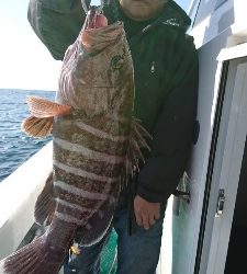 海龍丸（福岡） 釣果