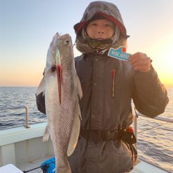 マタウマリンサービス 釣果