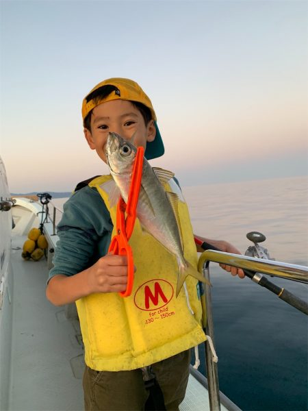 マタウマリンサービス 釣果