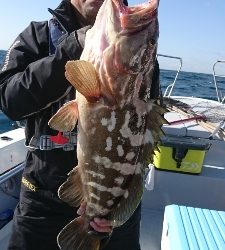海龍丸（福岡） 釣果