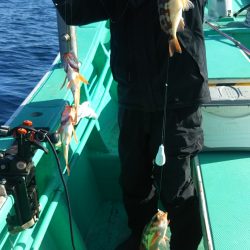 モンロー号 釣果