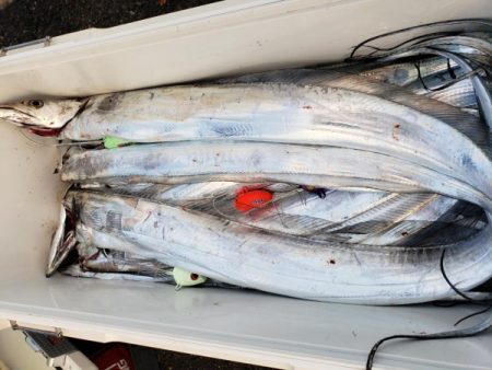 オーフリー 釣果