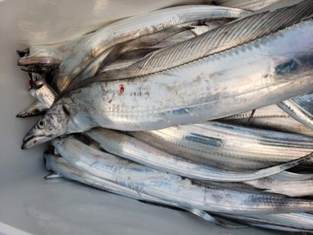 オーフリー 釣果