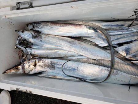 オーフリー 釣果