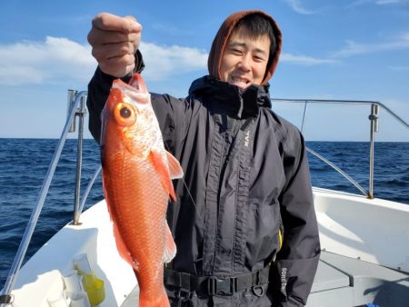 ブルーピア 釣果