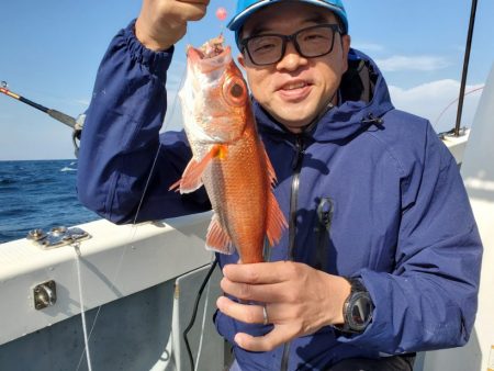 ブルーピア 釣果