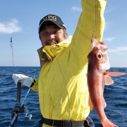 ブルーピア 釣果