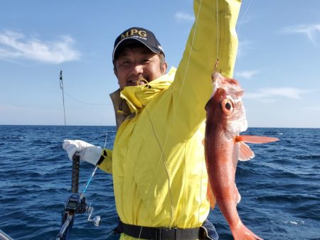 ブルーピア 釣果