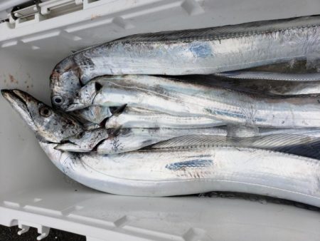 オーフリー 釣果