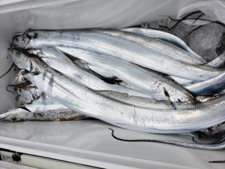 オーフリー 釣果