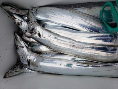 オーフリー 釣果