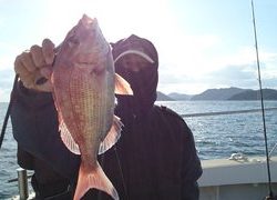 愛裕南丸 釣果
