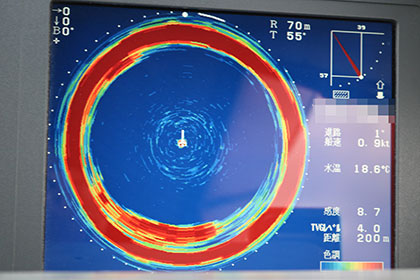 松本釣船２ 釣果