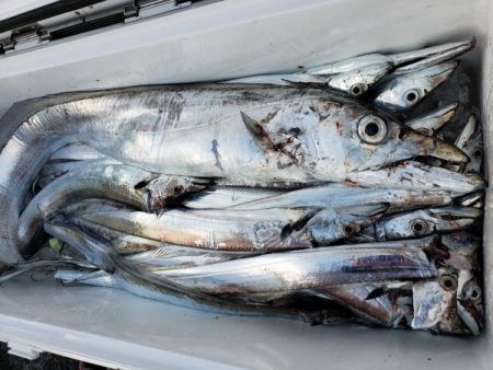 オーフリー 釣果