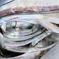 松本釣船２ 釣果