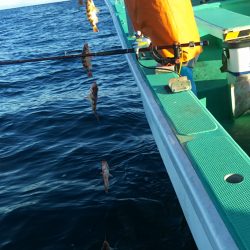 モンロー号 釣果