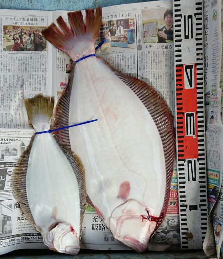 明神釣船 釣果
