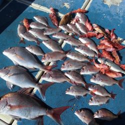 十八宝洋丸 釣果