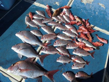 十八宝洋丸 釣果