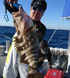 海龍丸（福岡） 釣果